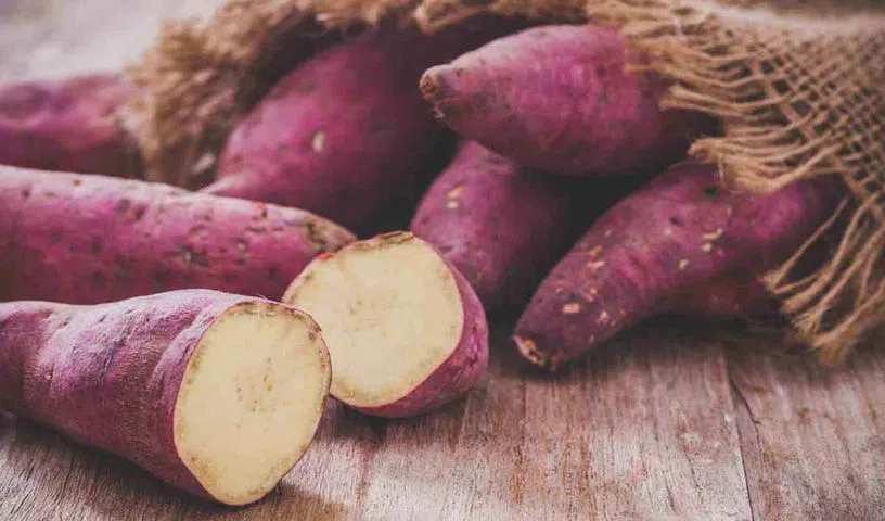 Vitamin A in sweet potato is good for health
