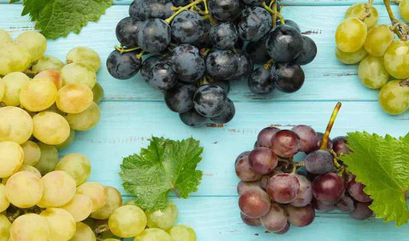 Grapes can be good for heart health