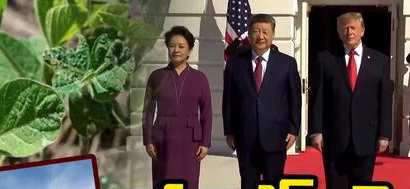 America-China new trade deal.. '30-for-30' tariff reduction agreement!
